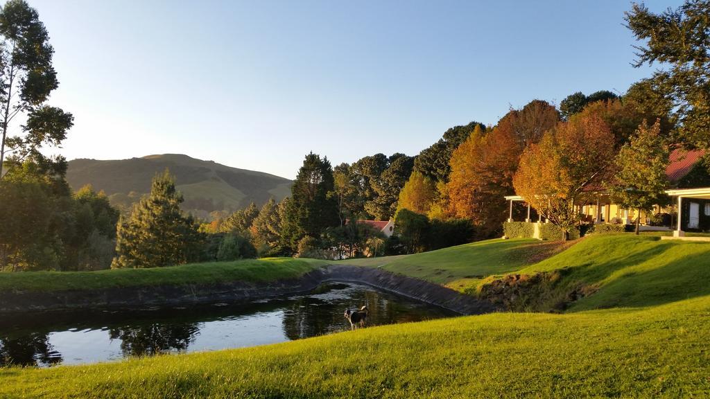 Arum Hill Lodge Balgowan Exterior photo